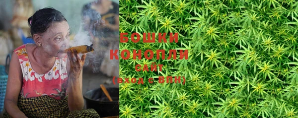 крисы Липки