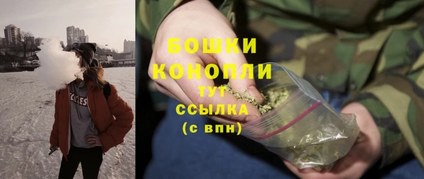 крисы Липки