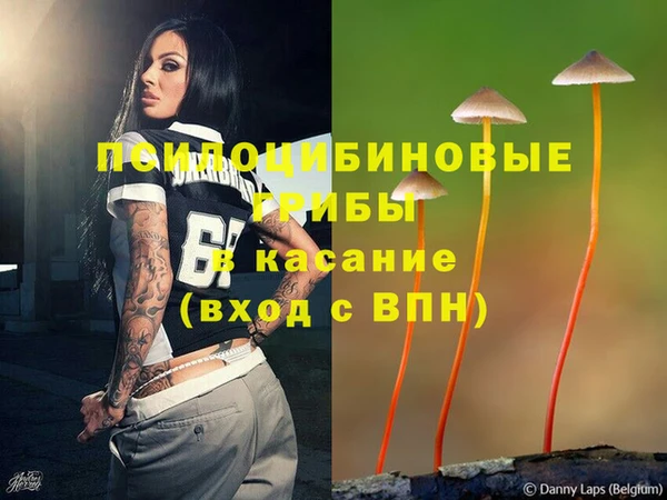 прущие крисы Пенза