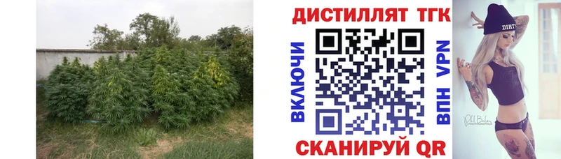 Дистиллят ТГК концентрат  дарнет шоп  Саратов 